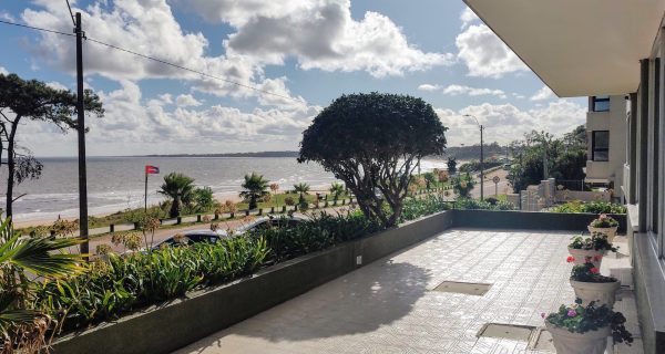 IMG_20250314_163804115