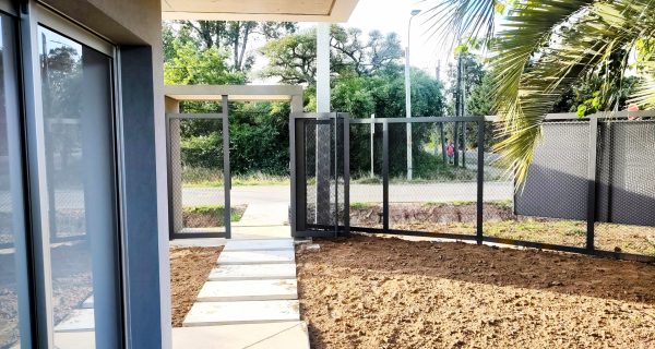 IMG_20260129_181923952~2