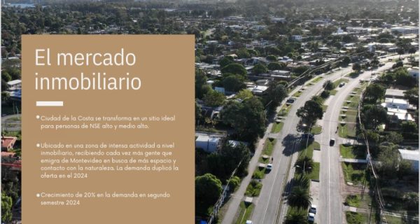 Screenshot_20260225_115334_M365 Copilot