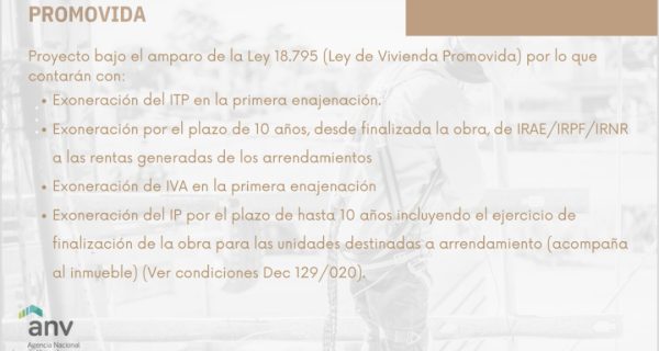 Screenshot_20260225_115501_M365 Copilot