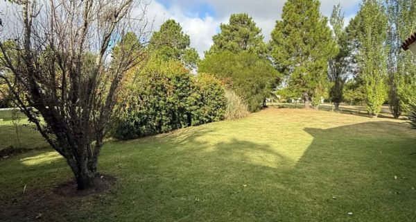 Screenshot_20260325_143612_Mercado Libre