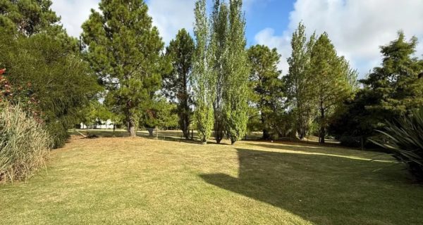 Screenshot_20260325_143617_Mercado Libre