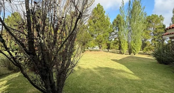 Screenshot_20260325_143625_Mercado Libre